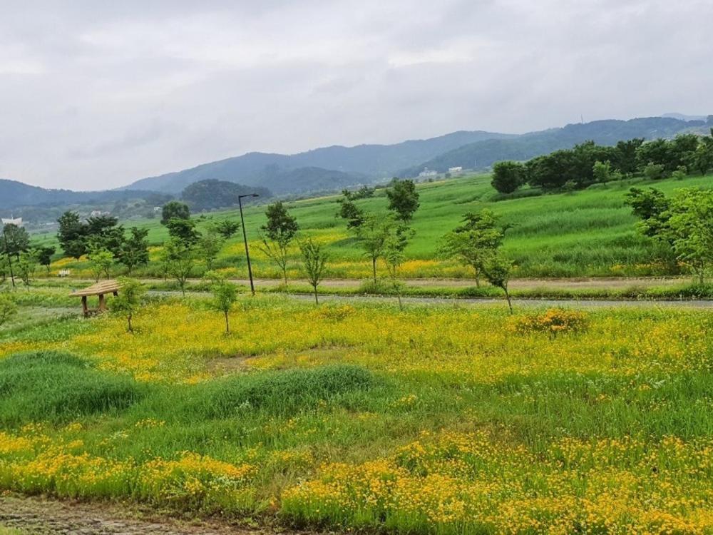 Buyeo Eoksae Jeongwon Pension Экстерьер фото